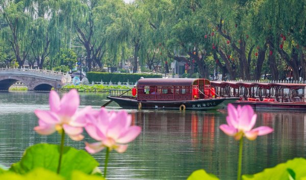 配资门户网站平台 什刹海荷花市场荷花绽放，夏日美景入画来