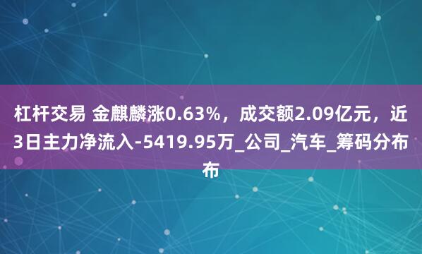 杠杆交易 金麒麟涨0.63%，成交额2.09亿元，近3日主力净流入-5419.95万_公司_汽车_筹码分布